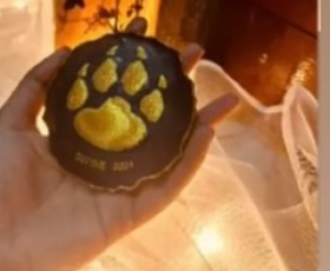A hand holding a black-and-gold resin paw-print souvenir medallion reading DIVINE 2024, made by Resin Gallery by Suu