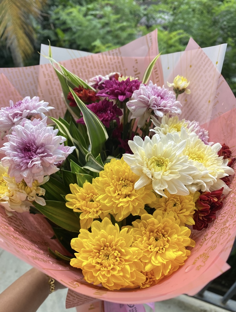 Fresh chrysanthemums in yellow, white and purple, ready for preservation